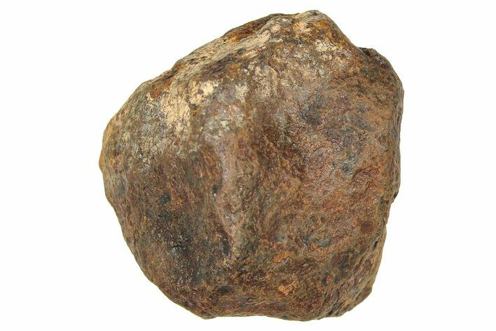 Mundrabilla Iron Meteorite ( g) - Australia #374350